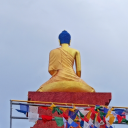 hari-shreengar avatar