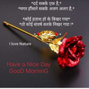 harkeshparjapati avatar