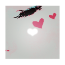 harlequinzels avatar