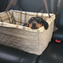 harley-vs-all avatar