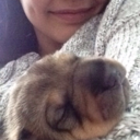 harleyberooob avatar