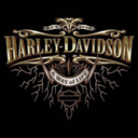 harleydavidsonspirit avatar