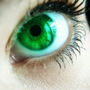 harleygrimes88 avatar