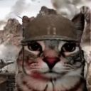 harleyhaiy435 avatar