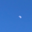 harlockhunter avatar