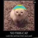 harlowthedog33 avatar