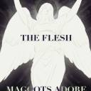 harmfulthoughtscollection avatar