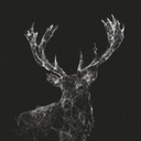 harmonianectere avatar