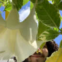 harmonicrhythm avatar