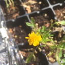 harmony-instead-of-apathy avatar