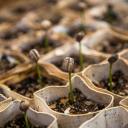 harmony-sandoval avatar