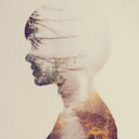 harmonyasteria avatar