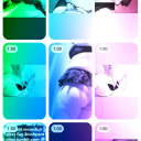 harold-records-jr-3-inchpantyboy avatar