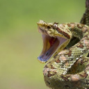 harper-emory-writes avatar