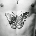 harrehmadness avatar