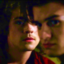 harringroveholidays avatar