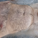 harrisburgpabiguy2 avatar