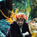 harry-potter-is-boss avatar