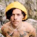 harry-stylesarchives avatar