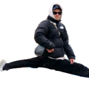 harryanthus-annuus avatar