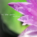 harrychillboy avatar