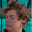harryedwardstylesisminebitches avatar