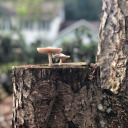 harrypottereyedbitch avatar