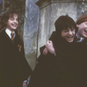 harrypotteronadailybasis avatar