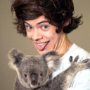 harrys--smile-blog avatar