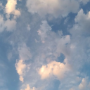 harryscactusx avatar