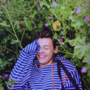 harrysnuggettt avatar