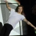 harrystylesbuttocks avatar
