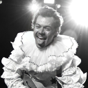 harrystylesgallery avatar