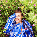 harryxkiss avatar