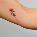 harryyousexybitch avatar