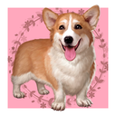 hartfeld-alumni avatar