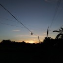 harulovestheday avatar