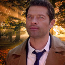 harvestforcas avatar