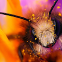 harvestingstarstuff avatar