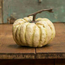 harvestprimitives avatar