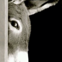 harveymillwright avatar