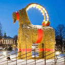 has-the-gavle-goat-burned-yet avatar