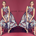hasanhejazi avatar