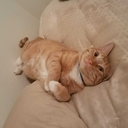 hashtag-ur-it avatar