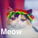 hashtagfruitcake-blog avatar