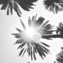 hashtaghugebitch avatar