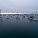 hashtagsherlocklives avatar