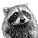 hashtagtanuki avatar