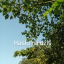 haslo-na-dzis avatar