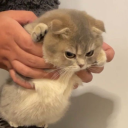 hasviewsonsubjects avatar